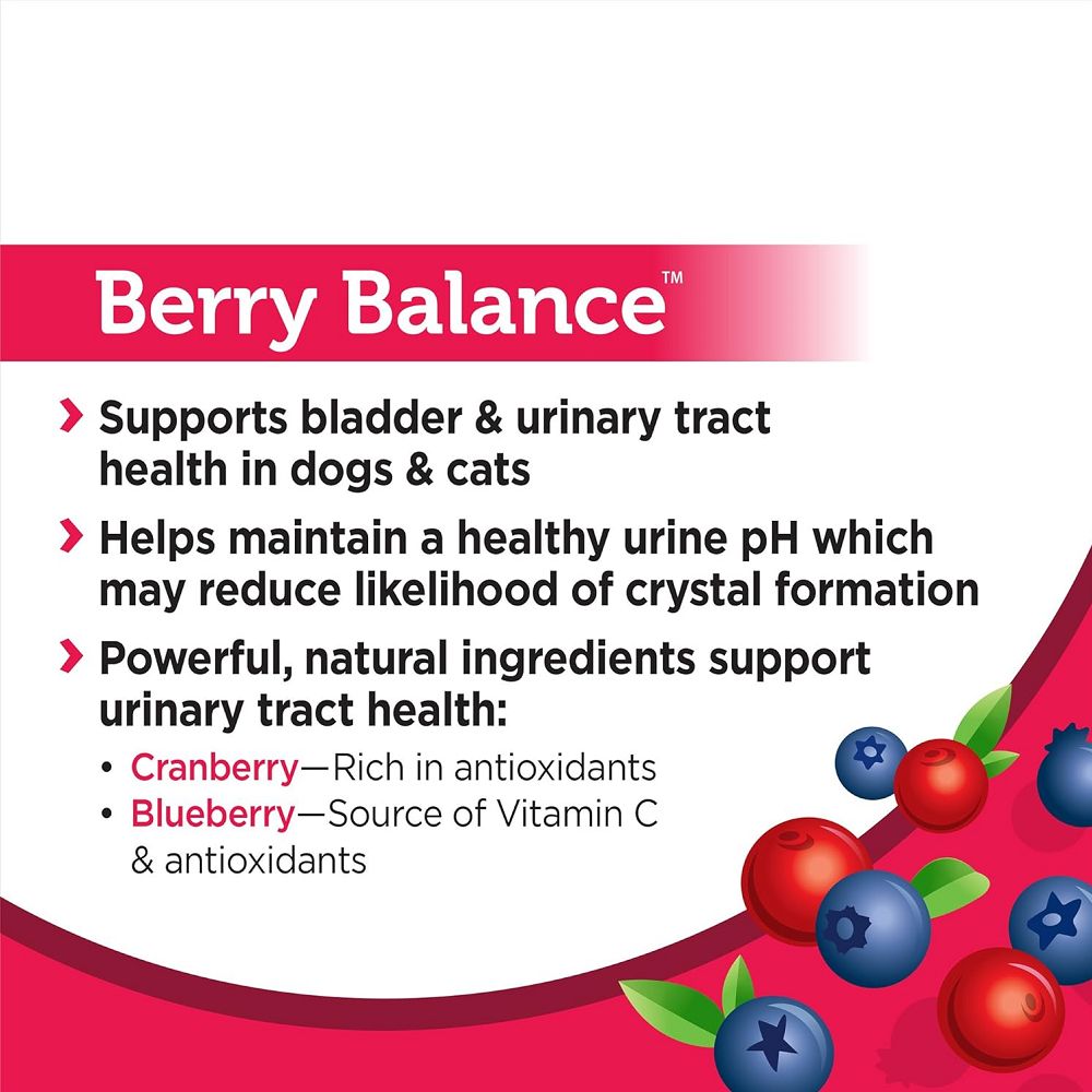 Berry Balance Urinary Tract Health Powder for Dogs & Cats - Image 2