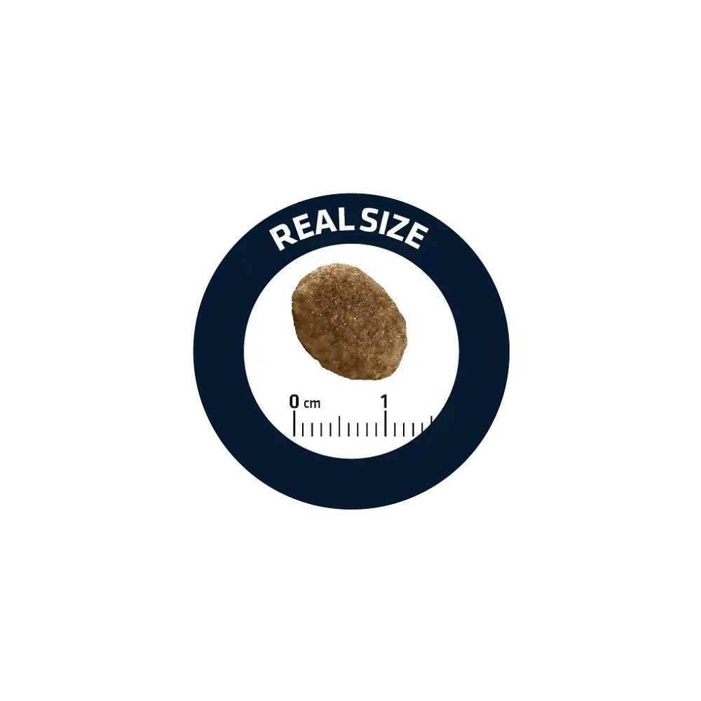 Veterinary Diets - Avet Hypoallergenic Cat Dry Food - Image 2