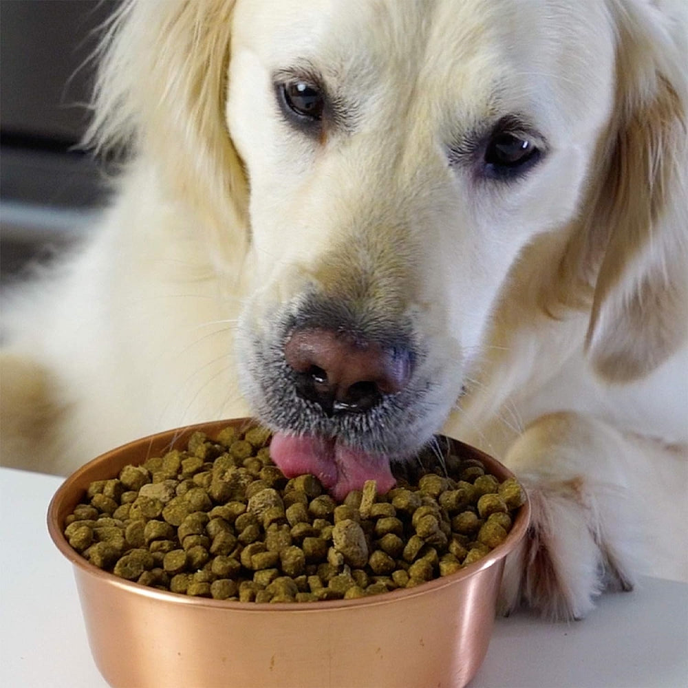 Senior Turkey & Chicken Dog Dry Food - Image 3