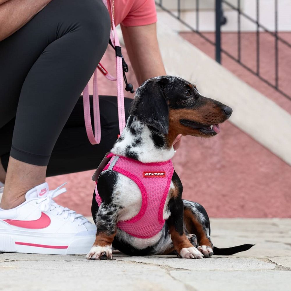Formfit Mesh Dog Harness - Image 7