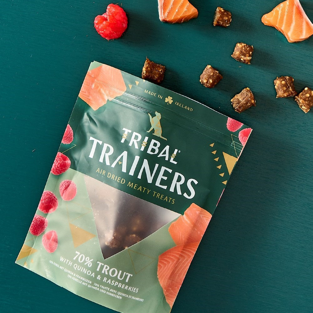 Tribal Trainers - Trout & Raspberry Training Dog Treats - Image 2