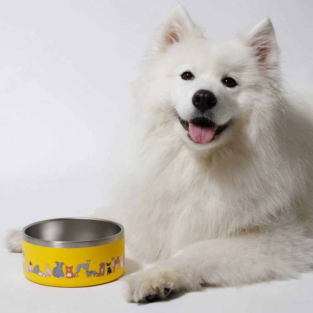 Kiki Stainless Steel Dog Bowl - Image 9