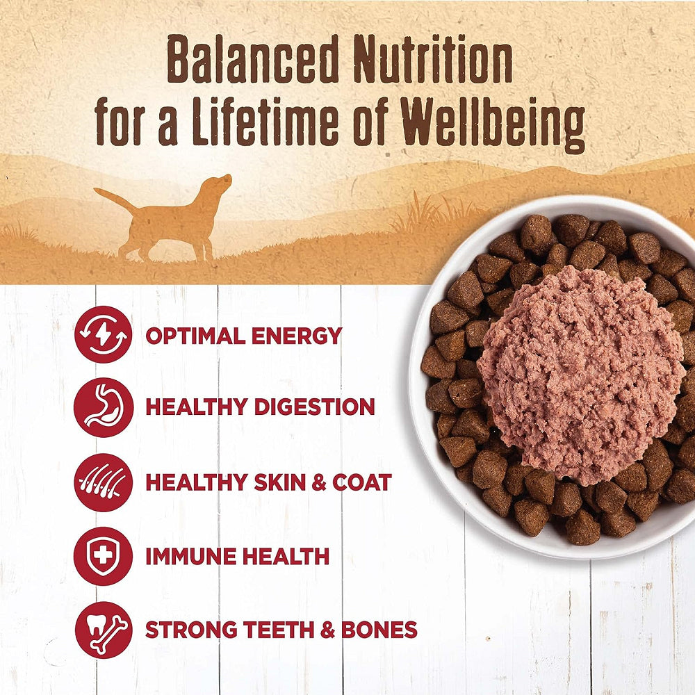 95% Beef Grain Free Dog Can - Image 2
