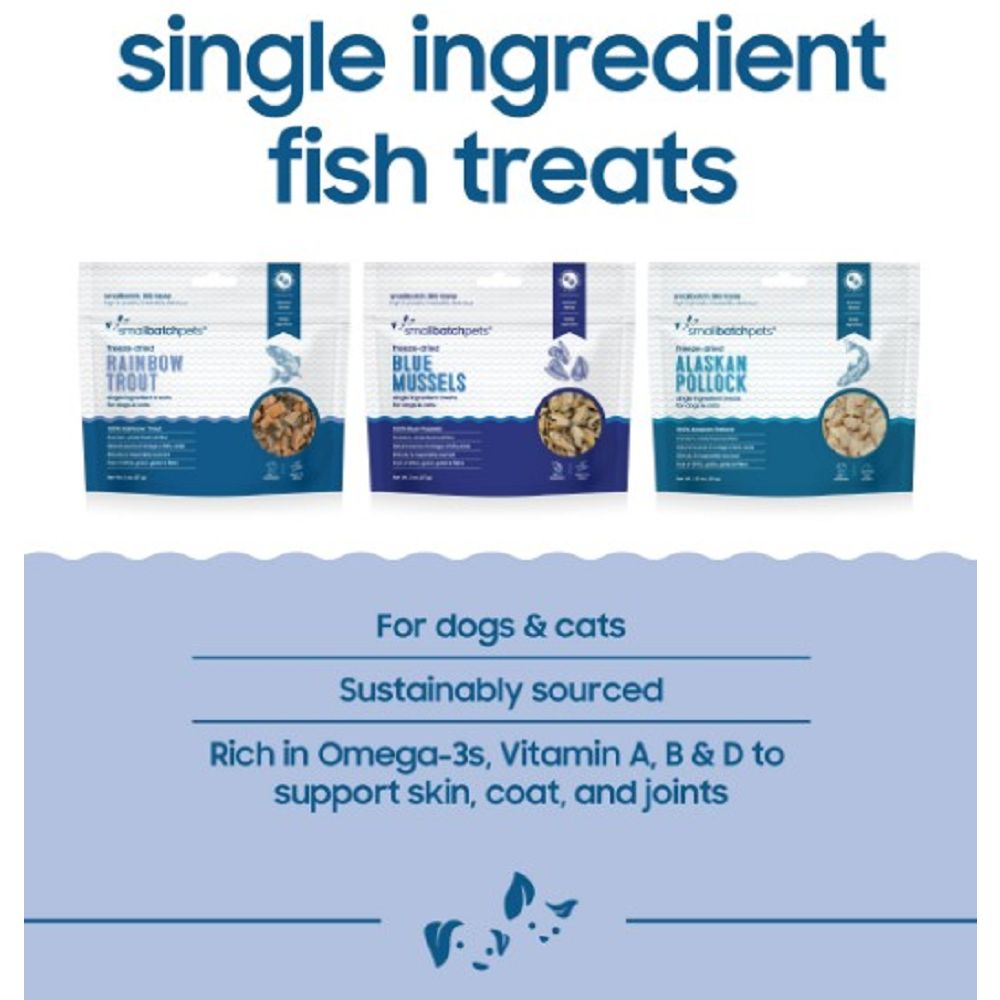 Freeze Dried Blue Mussels Treats for Dogs & Cats - Image 2