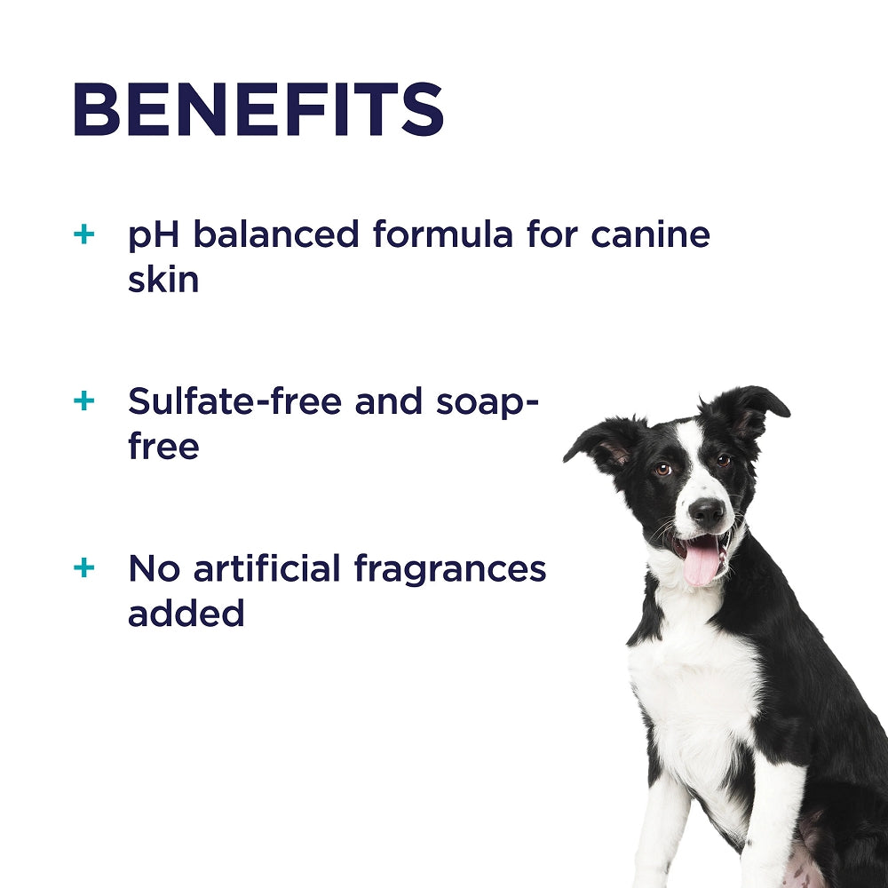 Paw Leave-In Detangler Conditioning & Grooming Spray for Dogs - Image 2
