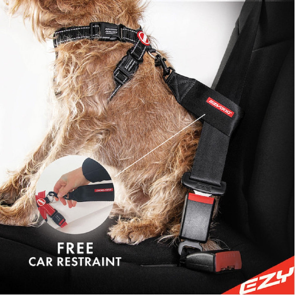 Chestplate Dog Harness - Image 8