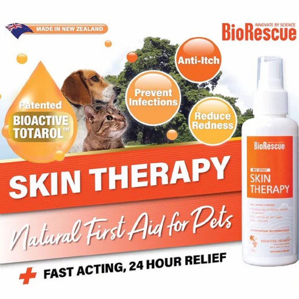 Skin Therapy for Dogs & Cats - Image 3