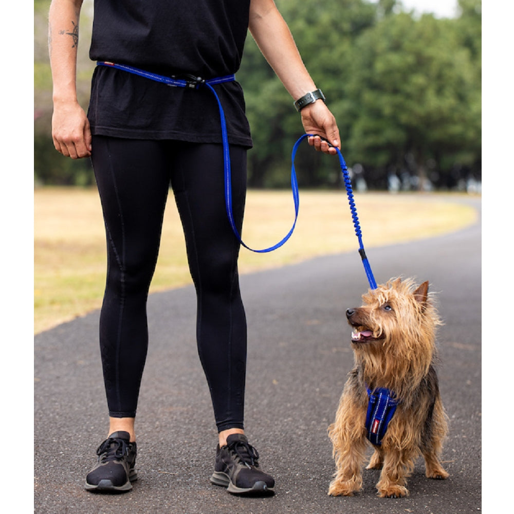 Road Runner Dog Leash Lite - Image 4