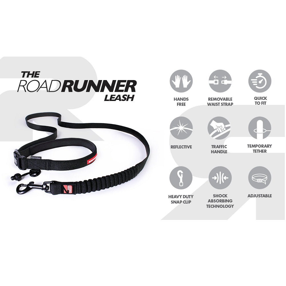 Road Runner Dog Leash - Image 11