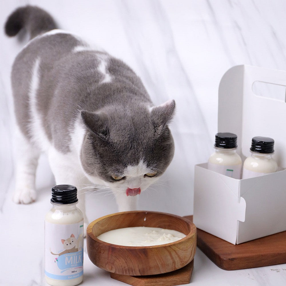 Frozen Kefir Milk for Dogs & Cats - Image 4
