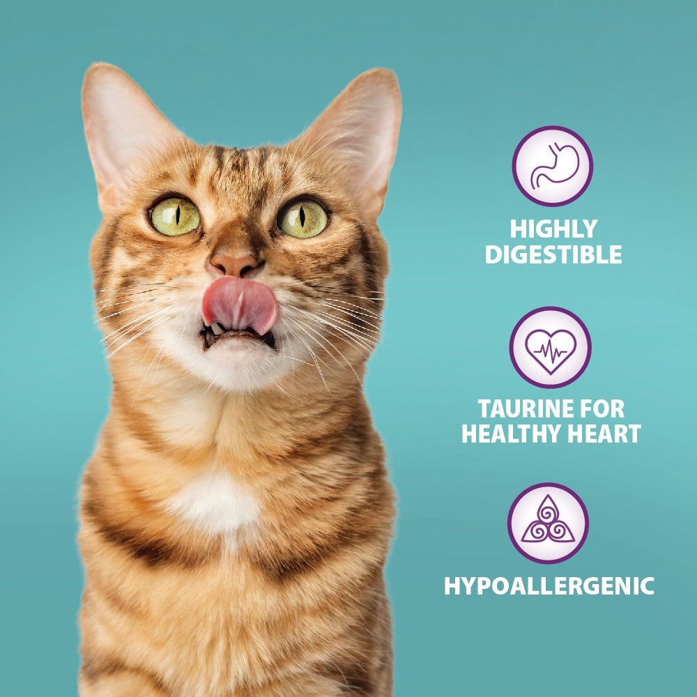 Adult & Senior Original Chicken & Brown Rice Cat Dry Food - Image 2