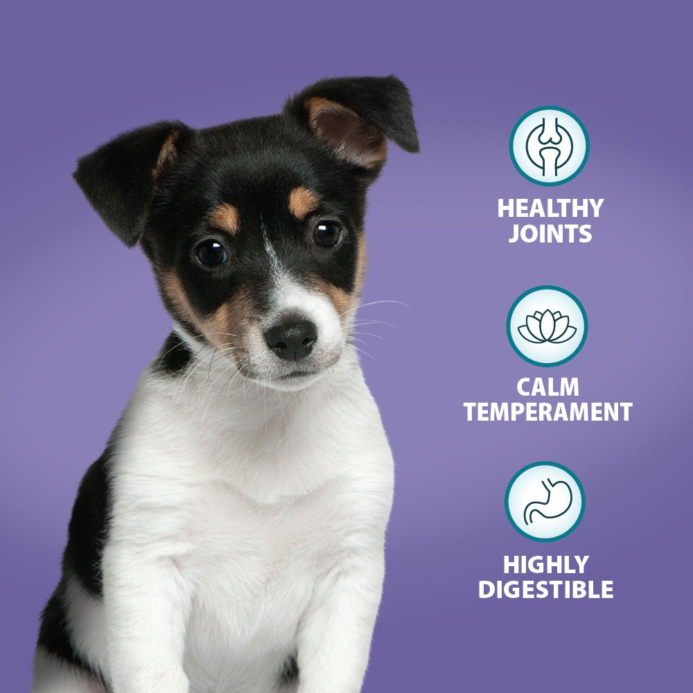 Puppy Original Lamb & Rice Dog Dry Food - Image 3