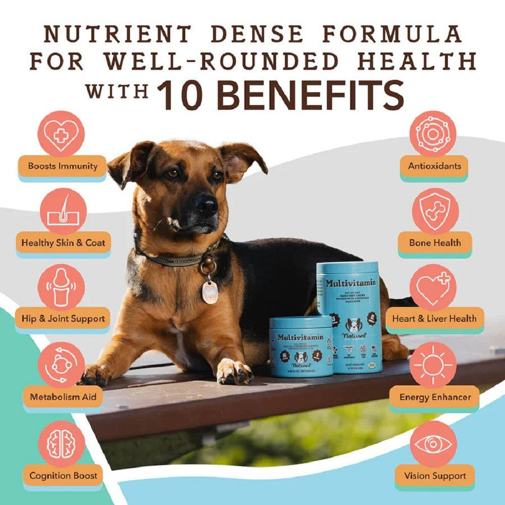 Multivitamin Supplement for Dogs - Image 2