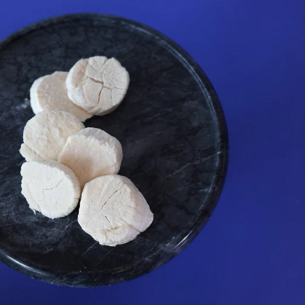 Freeze Dried Hokkaido Scallops Treats for Dogs and Cats - Image 3