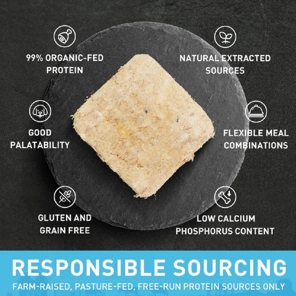 Single Protein Fish & Veggie Freeze Dried Dog Food - Image 4