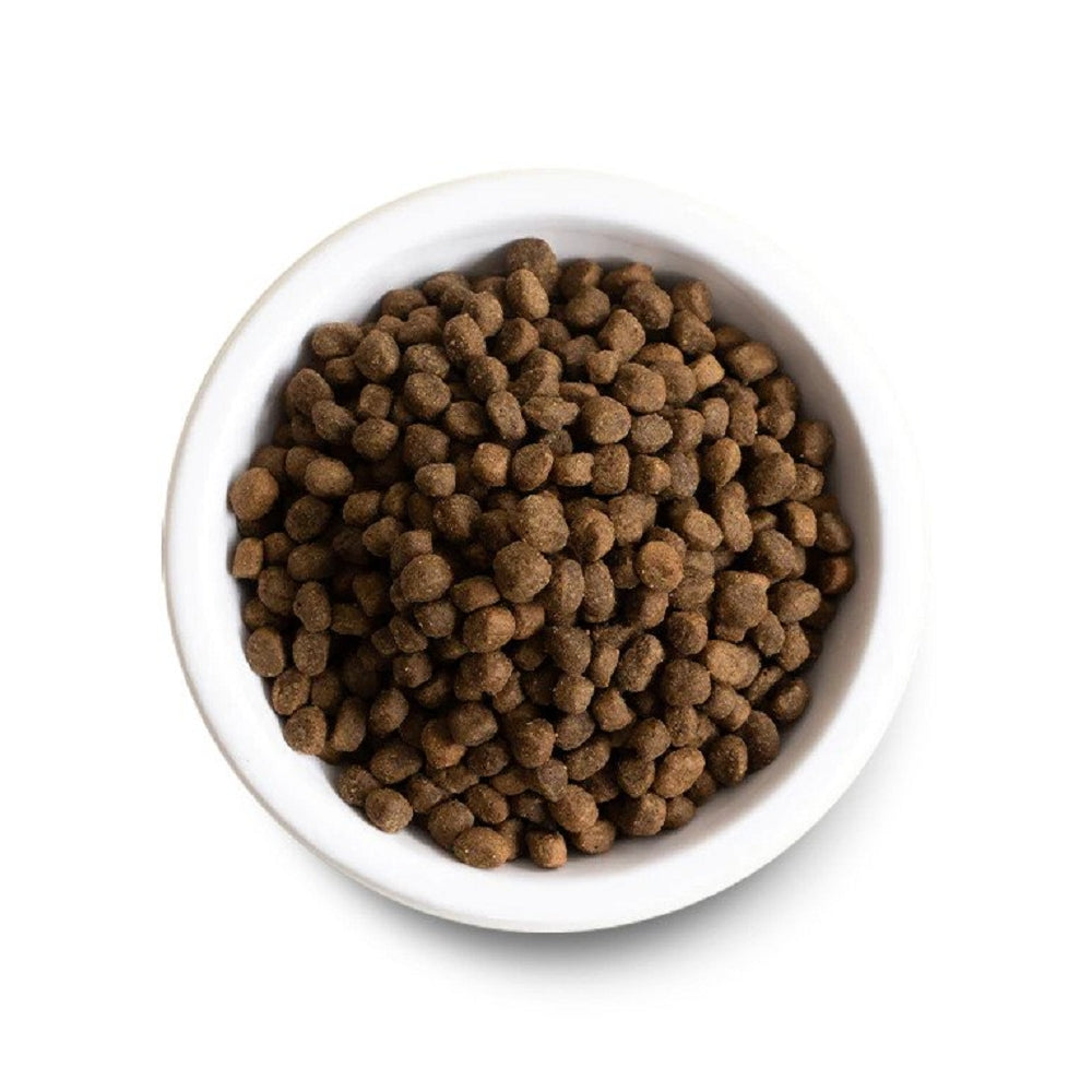 Catch-of-the-Season Whitefish Dog Dry Food - Image 4