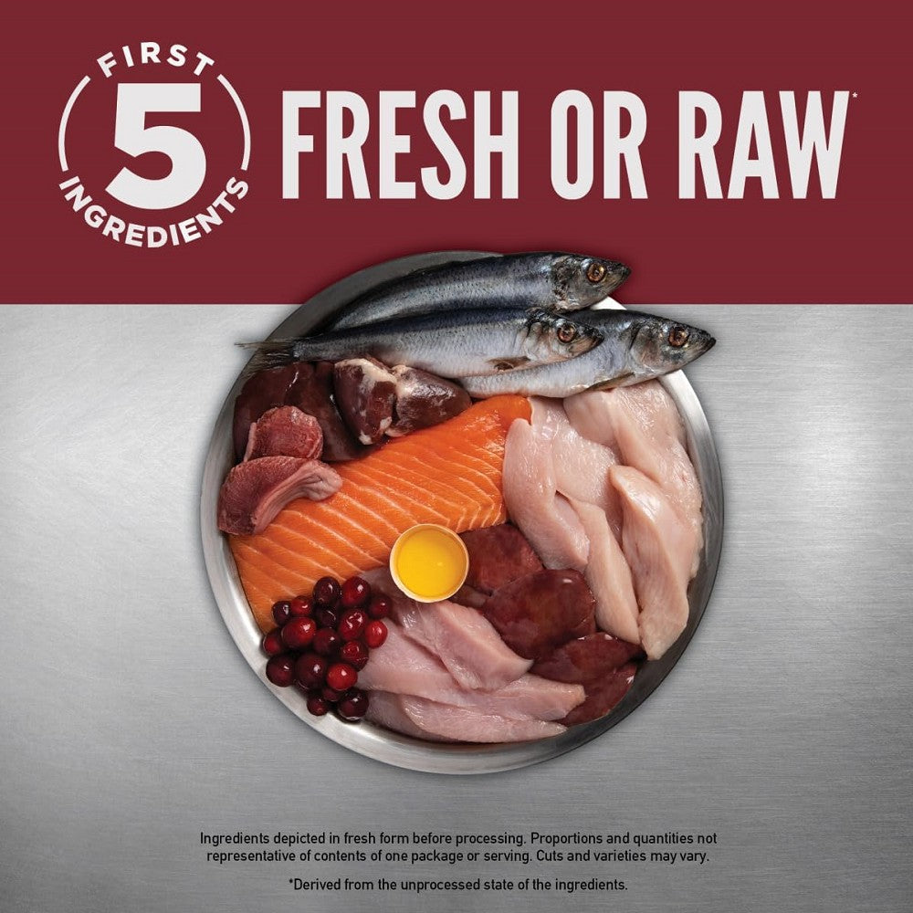 Small Breed Formula Turkey, Chicken, Quail & Wild-Caught Fish Dog Dry Food (USA) - Image 3