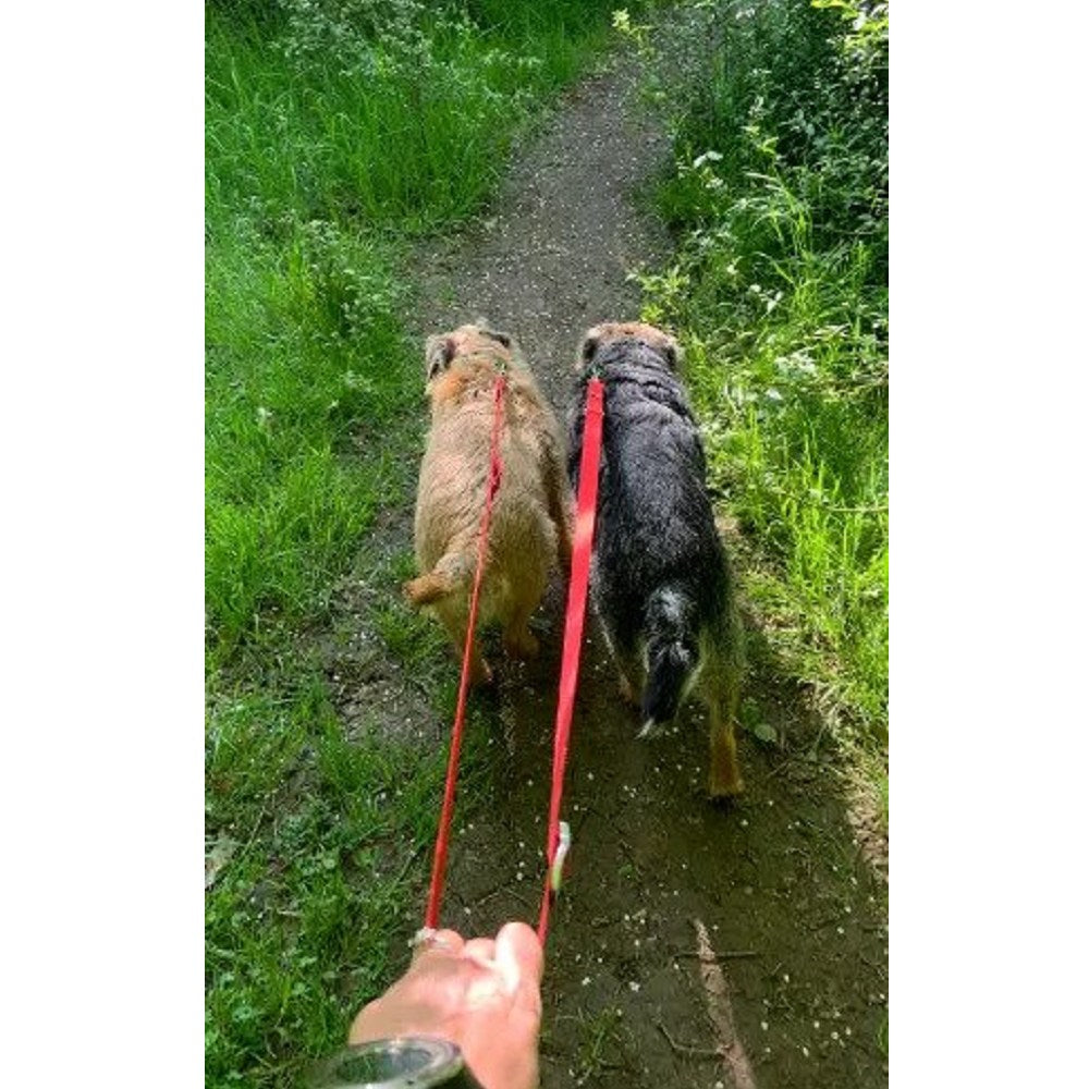 Switchbak Dog Leash - Image 11