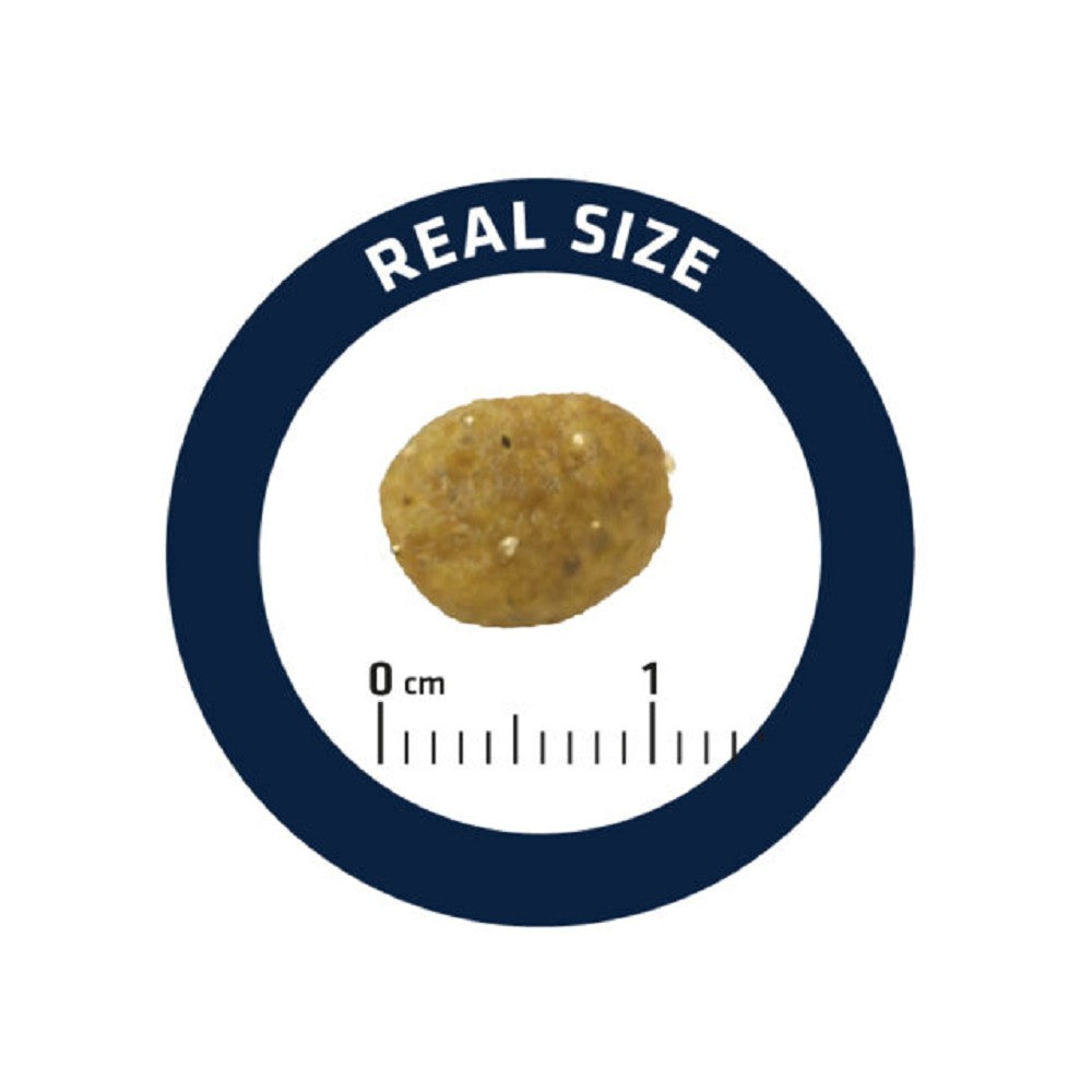 Veterinary Diets - Avet Gastro Sensitive Cat Dry Food - Image 4