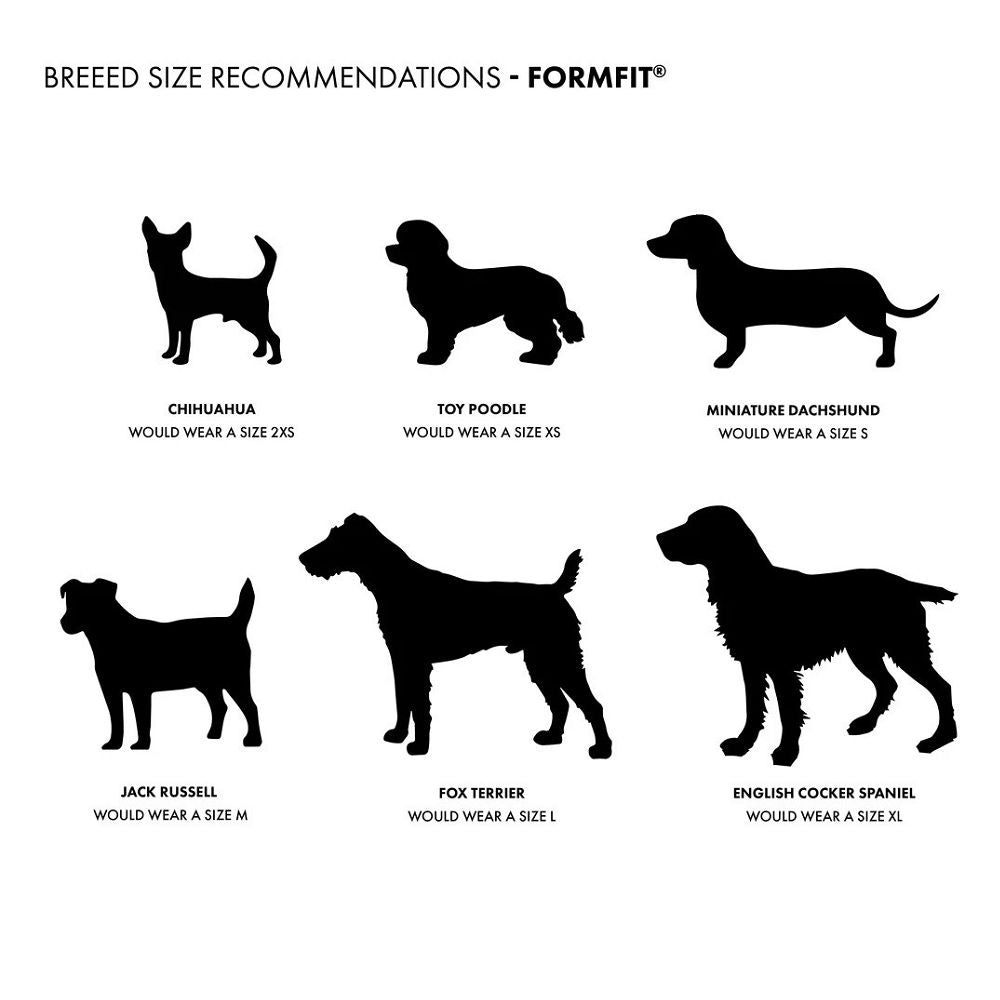 Formfit Mesh Dog Harness - Image 8
