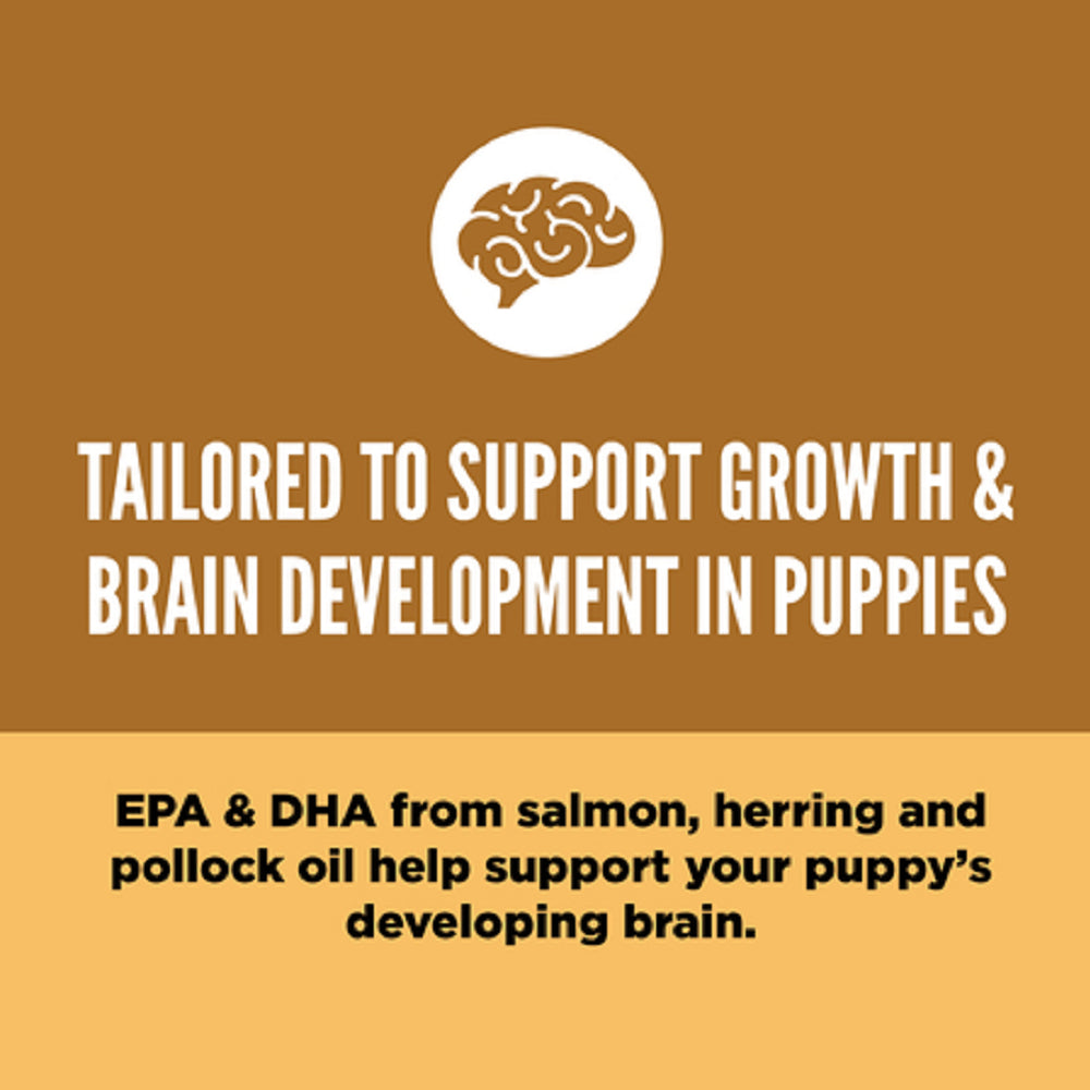 Puppy Formula Chicken & Turkey Dog Dry Food (USA) - Image 3