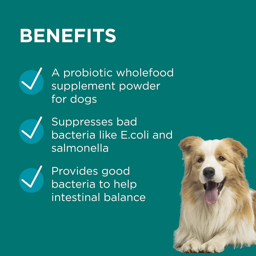 Paw Digestive Power Supplement for Dogs and Cats - Image 2