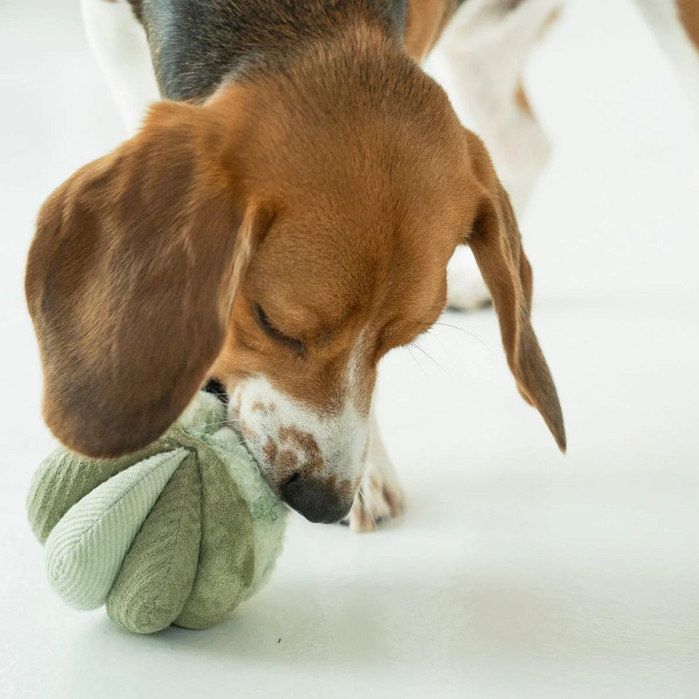 Toto Squeaky Snuffle Ball Dog Toy - Image 5