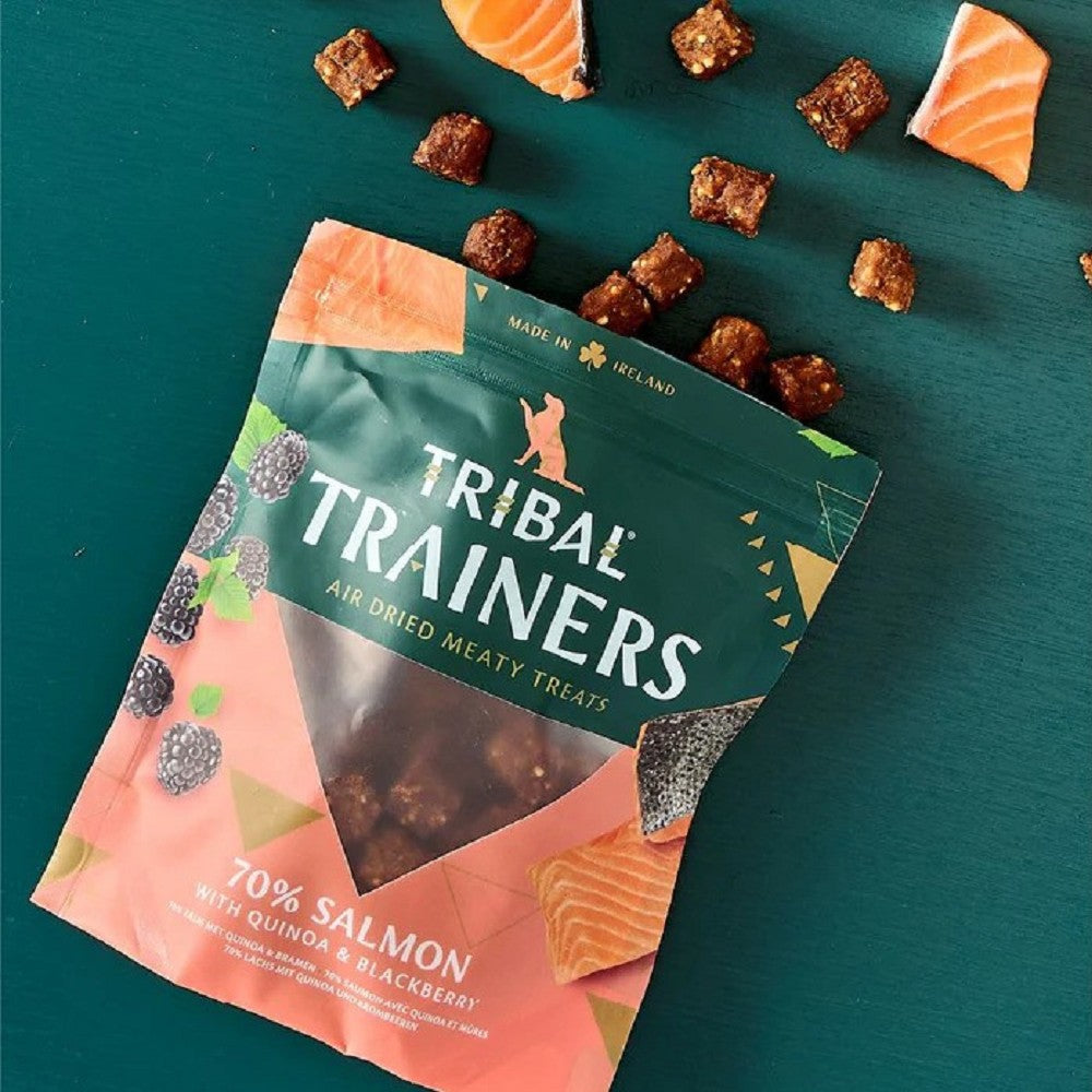 Tribal Trainers - Salmon & Blackberry Training Dog Treats - Image 2