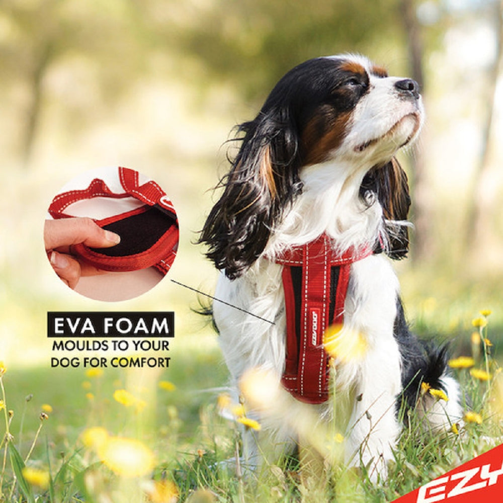 Chestplate Dog Harness - Image 6