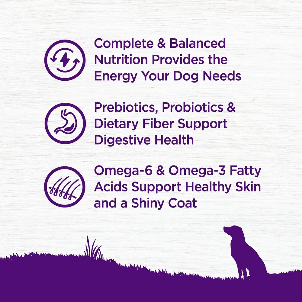 Complete Health Whitefish & Sweet Potato Adult Dog Dry Food - Image 4