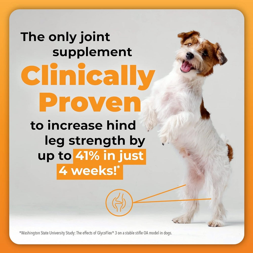 GlycoFlex Plus Hip and Joint Supplement for Medium and Large Dogs - Bacon Recipe - Image 3