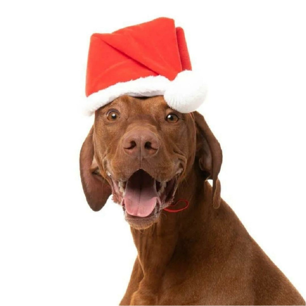Christmas Santa Hat Dog Toy - Image 2