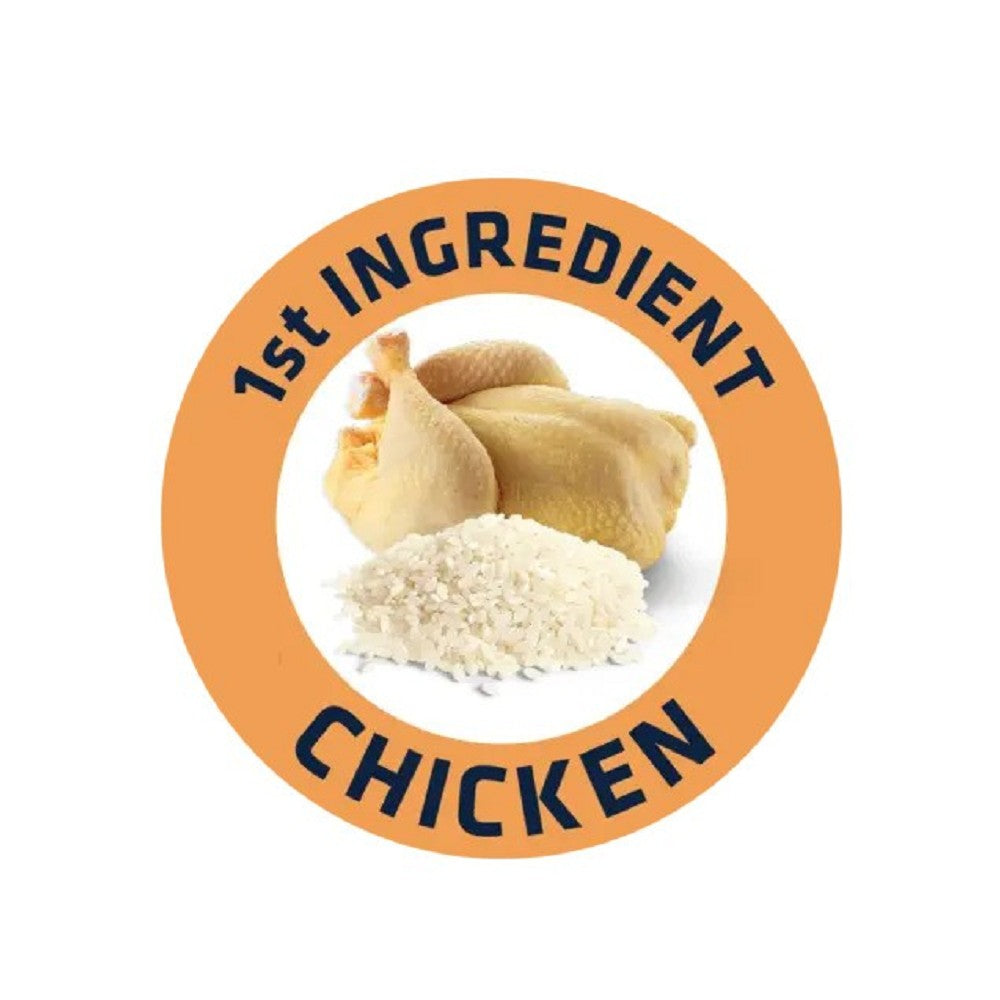 Active Defense - Chicken & Rice for Large Senior Vitality Dog Dry Food - Image 3