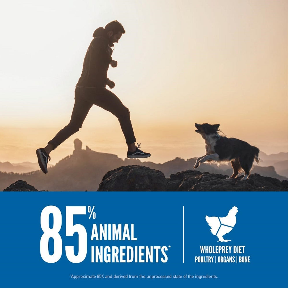 Original Recipe Chicken & Turkey Adult Dog Dry Food (USA) - Image 3