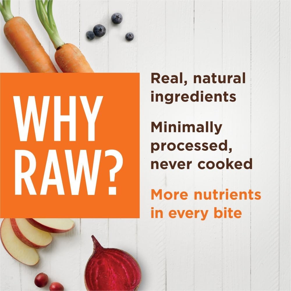 Freeze-Dried Chicken Raw Boost Shakers for Cats - Image 4