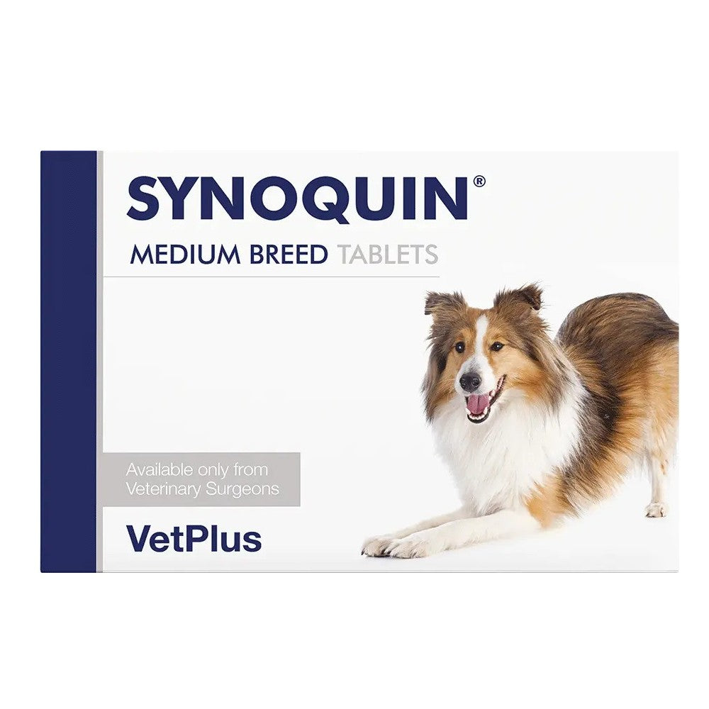 Synoquin for Dogs - Image 2