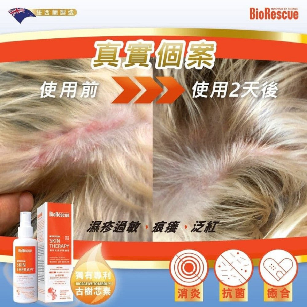 Skin Therapy for Dogs & Cats - Image 7