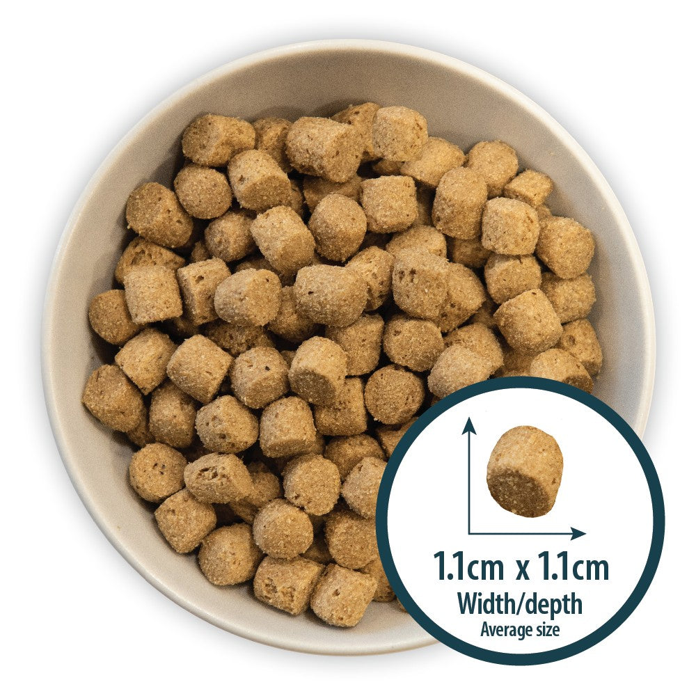 Puppy Original Lamb & Rice Dog Dry Food - Image 4