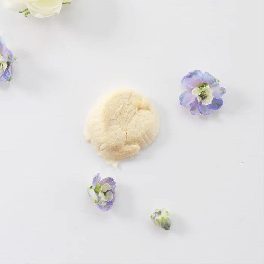 Freeze Dried Hokkaido Scallops Treats for Dogs and Cats - Image 4