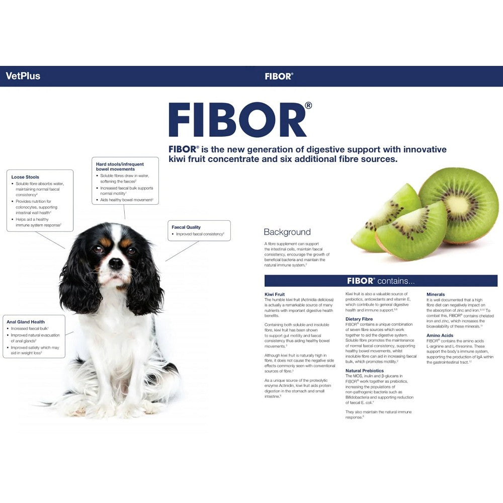Fibor, Solulble & Insoluble Fibre for Dogs & Cats - Image 2