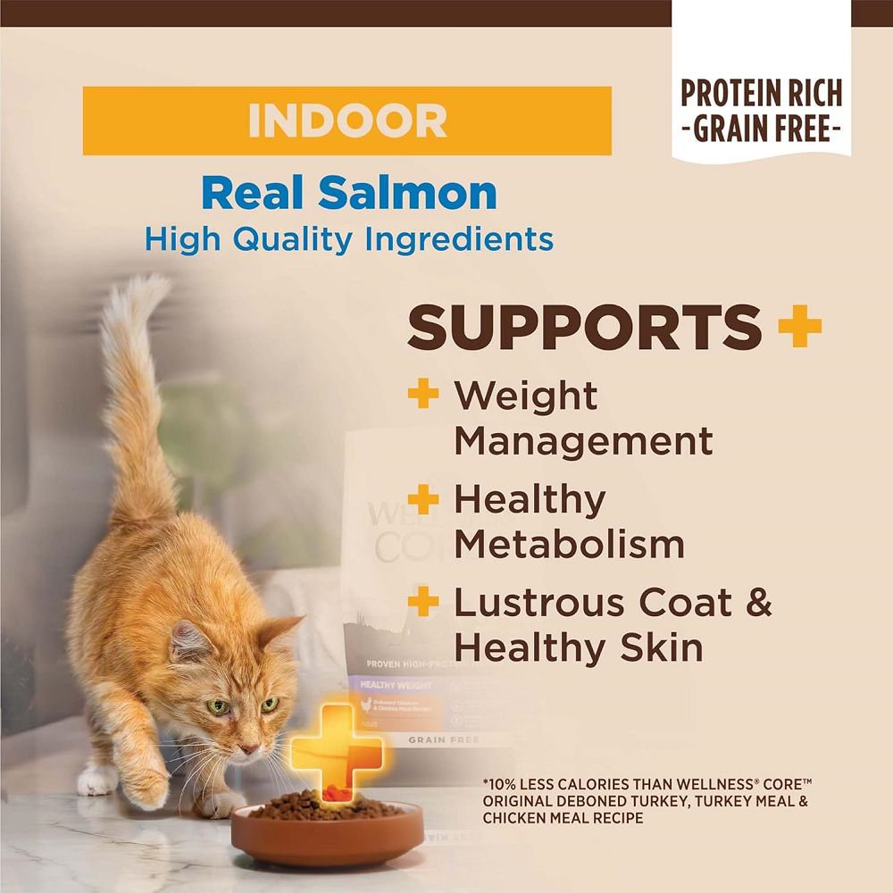 CORE Indoor Salmon & Herring Adult Cat Dry Food - Image 4