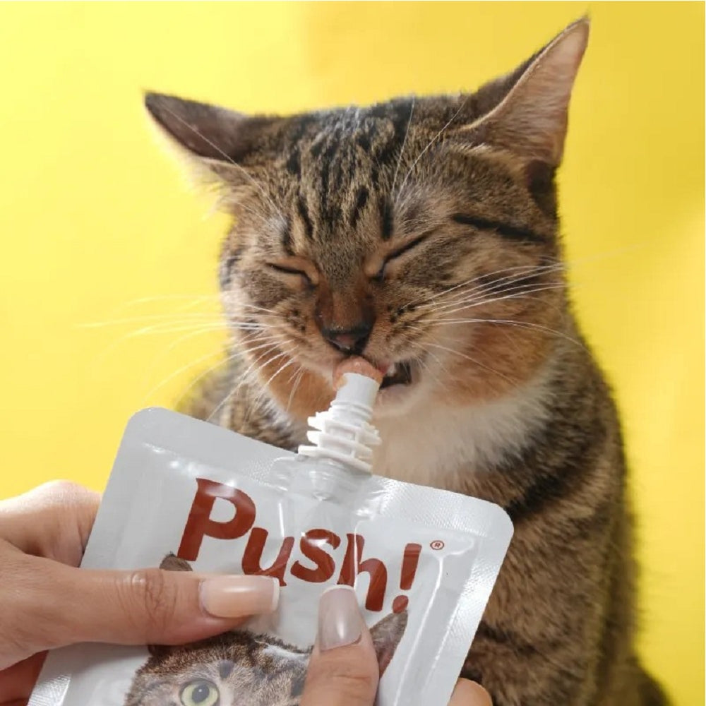 Muscle Maintenance Chicken Meat Softshell Turtle Mousse Paste Cat Pouch - Image 2