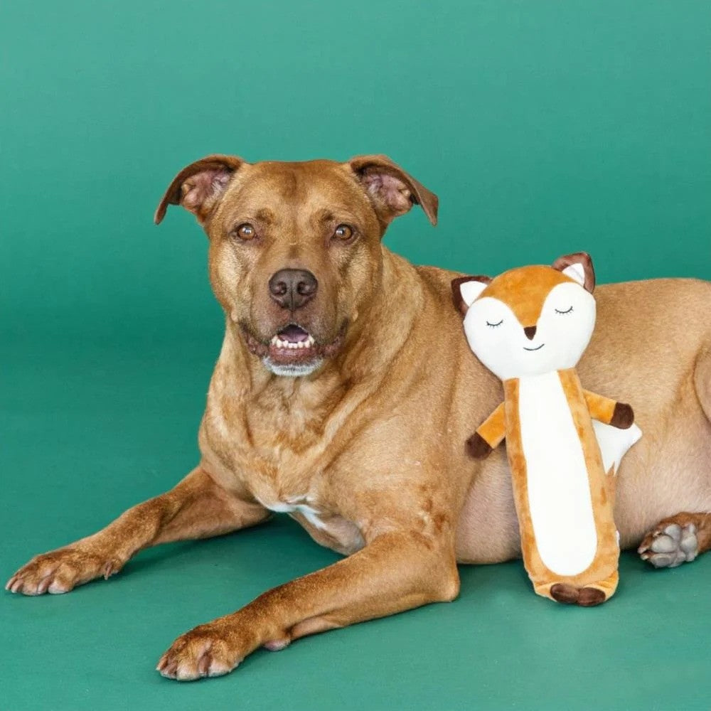 Fox Dog Plush Toy - Image 3