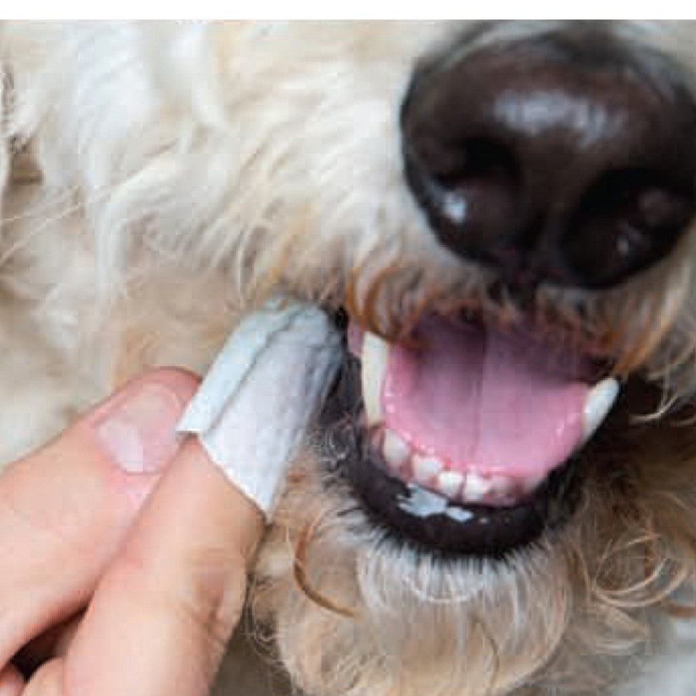 MAXI/GUARD Oral Cleansing Wipes for Dogs & Cats - Image 2