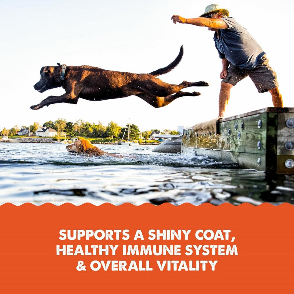 Salmon Oil Food Supplement for Dogs & Cats - Image 4