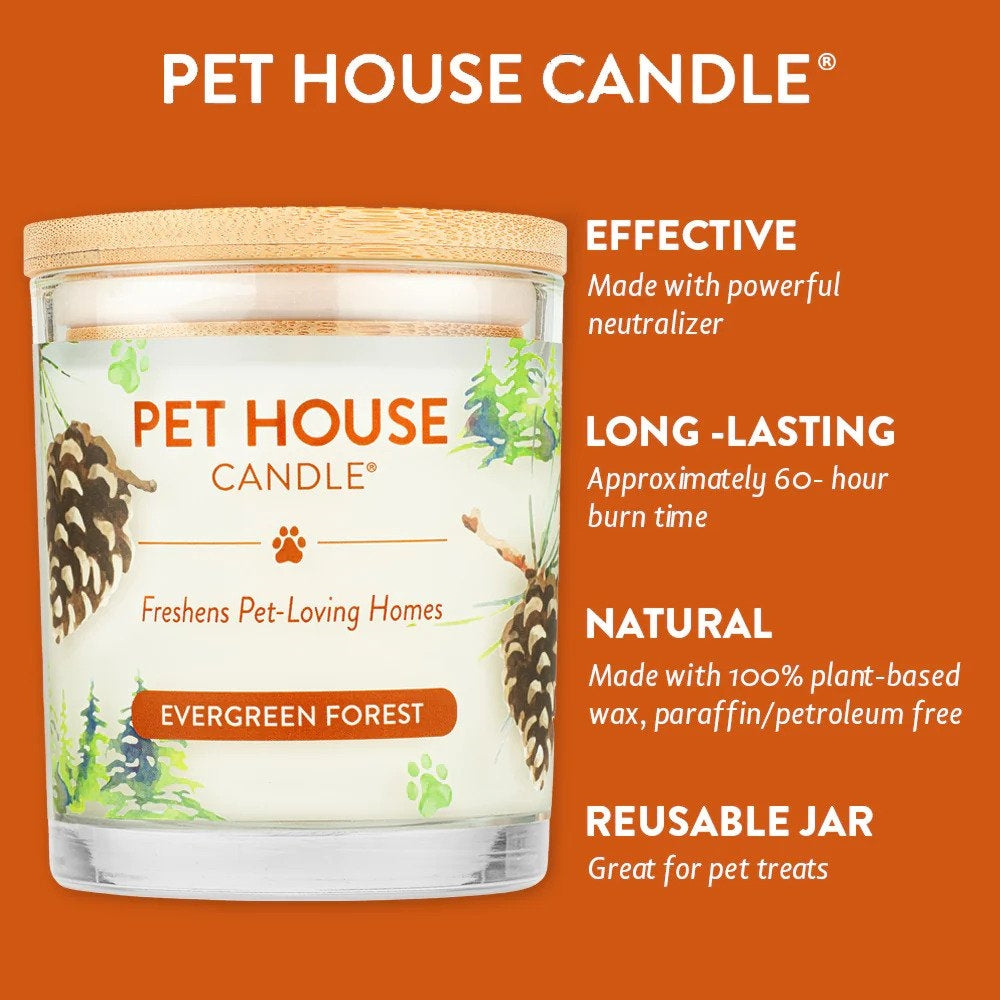 Candle - Image 24