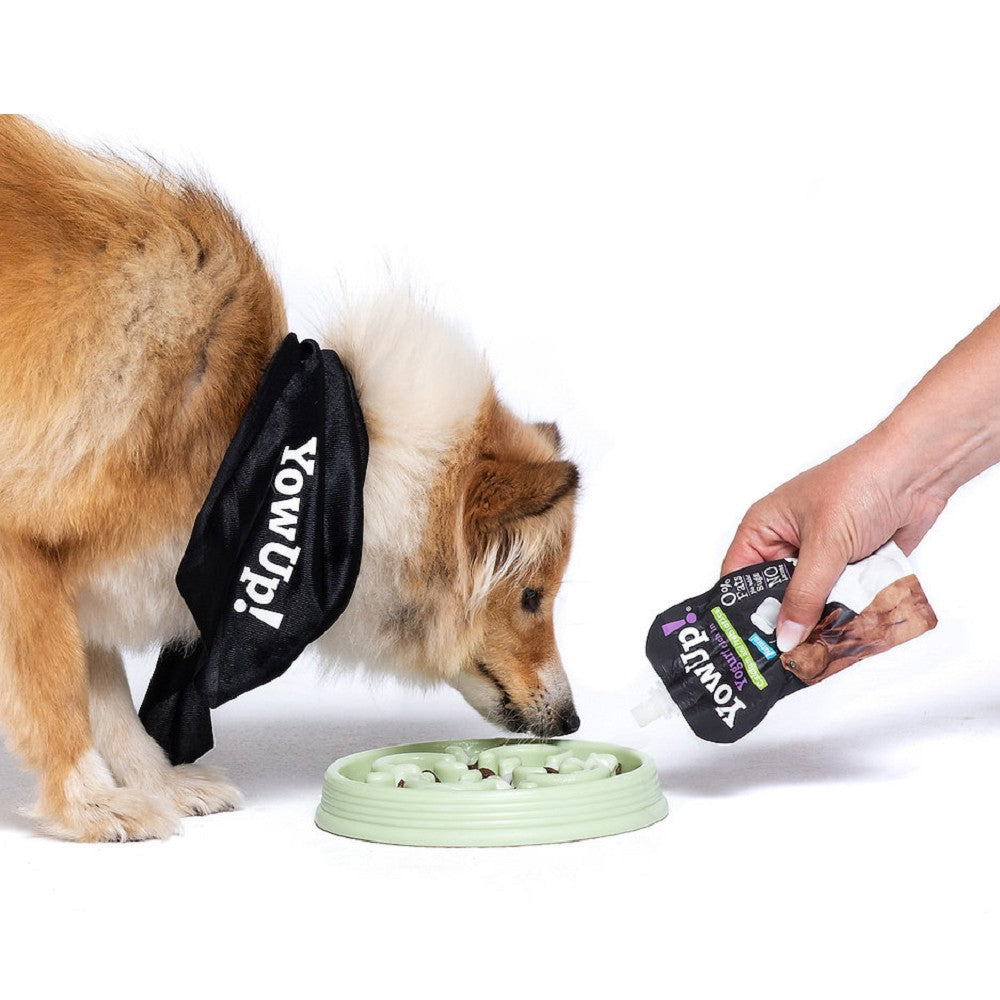 Yogurt Articular for Dogs - Image 3