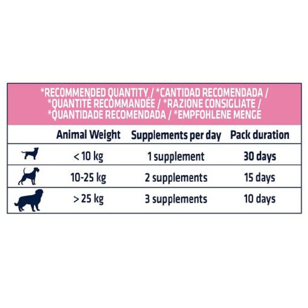 Veterinary Diets - Derma Forte Supplement for Dogs - Image 4