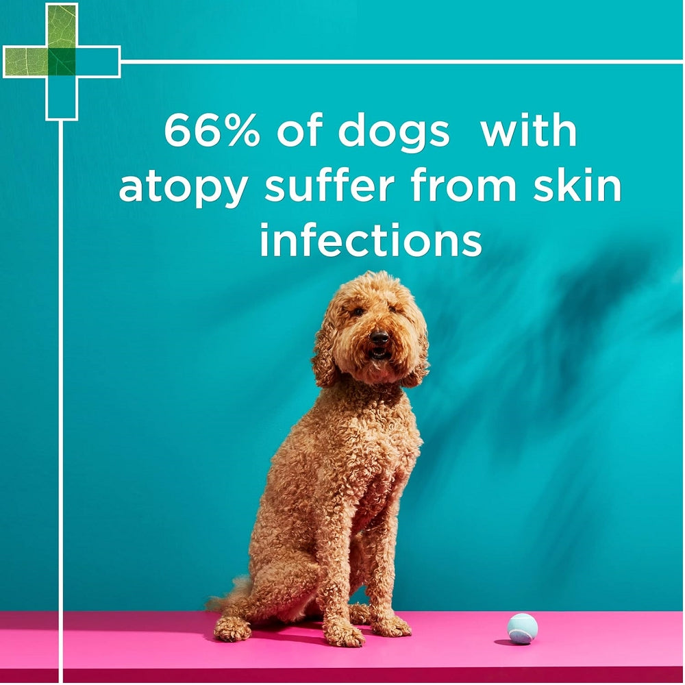 Paw MediDerm Gentle Medicated Shampoo for Dogs - Image 4