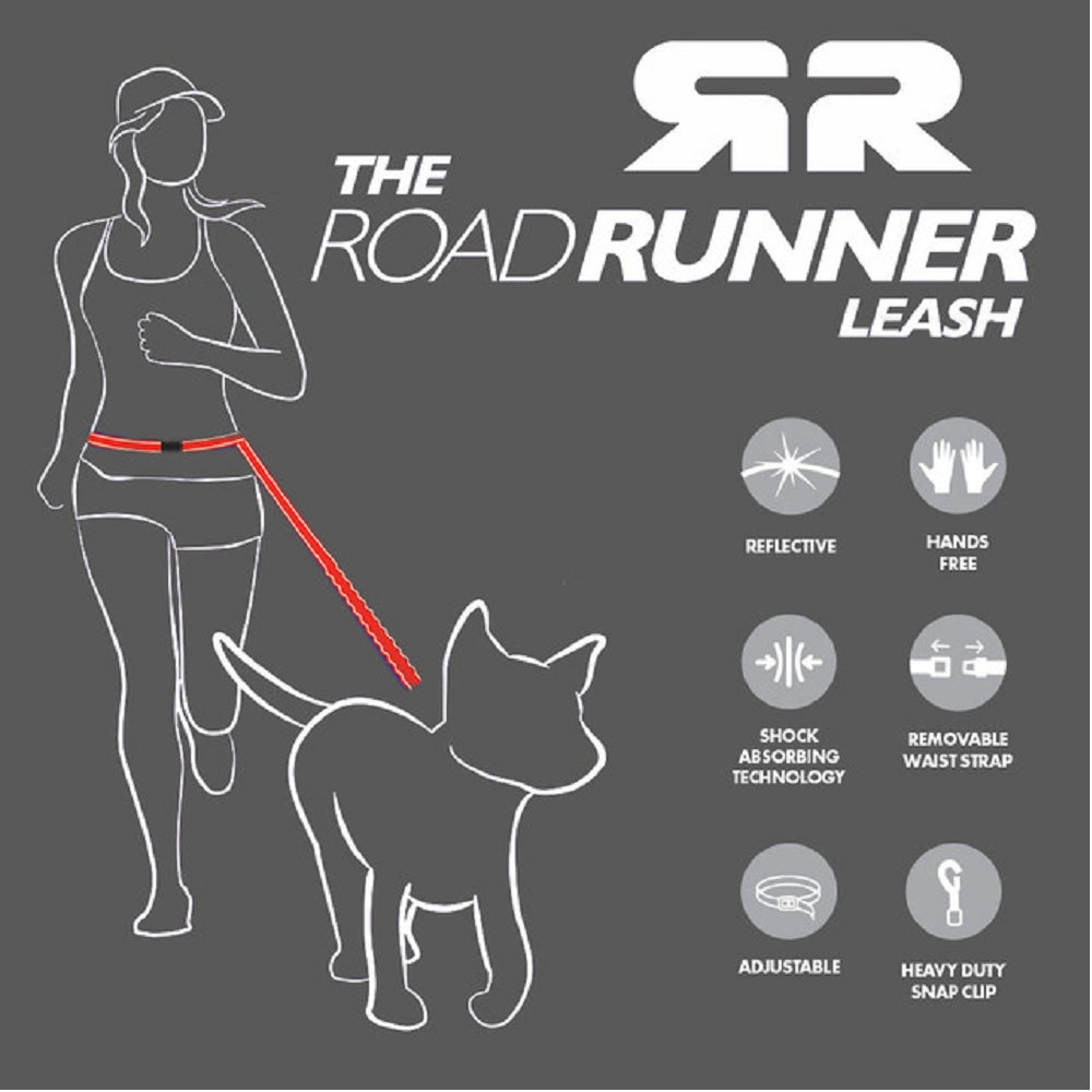 Road Runner Dog Leash - Image 10